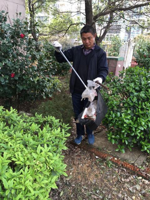 控制鼠害、預(yù)防疾病，構(gòu)建和諧文明社區(qū)